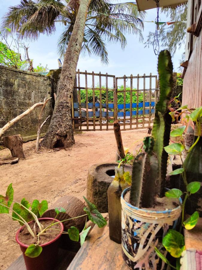 Beachaholic Homestay Alappuzha Zewnętrze zdjęcie